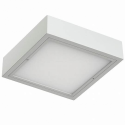 изображение_2026-04-08_221337785